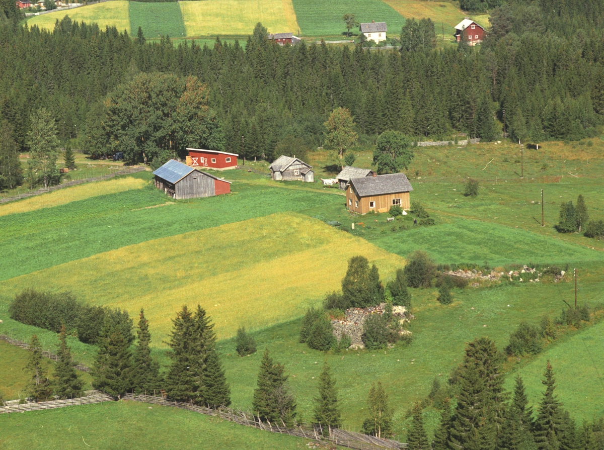 Widerøes Flyveselskap A/S, Flyfoto, Svenskerud, Næroset, Ringsaker.