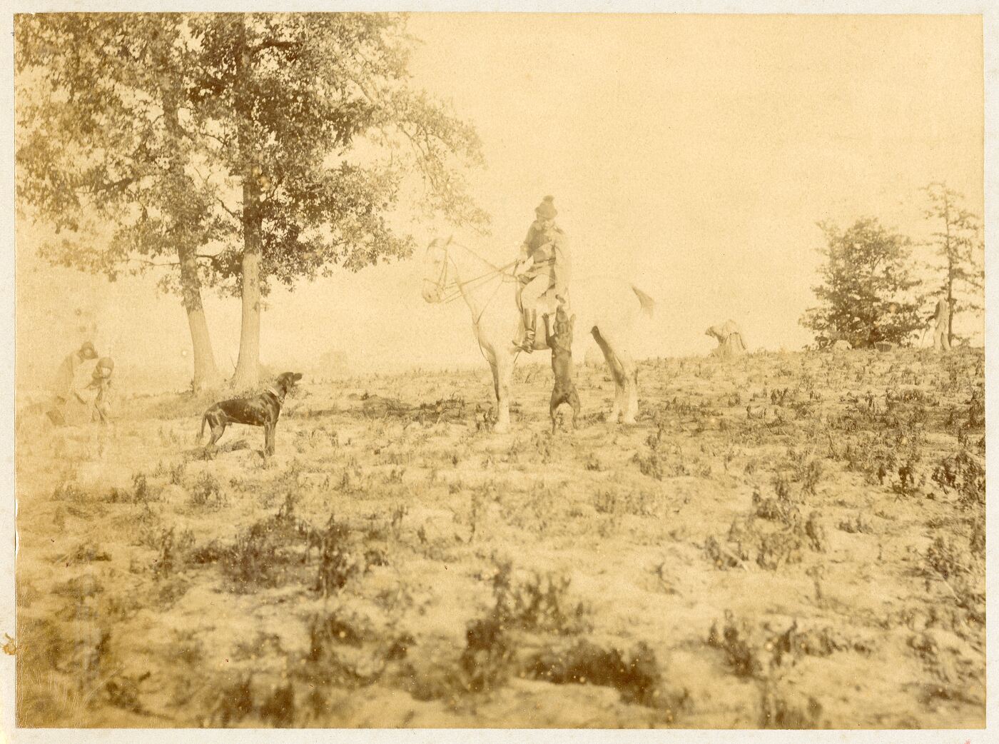 Benediktas Henrikas Tiškevičius, Voinovas. Grafo B. H. Tiškevičiaus sūnus Benediktas (II)