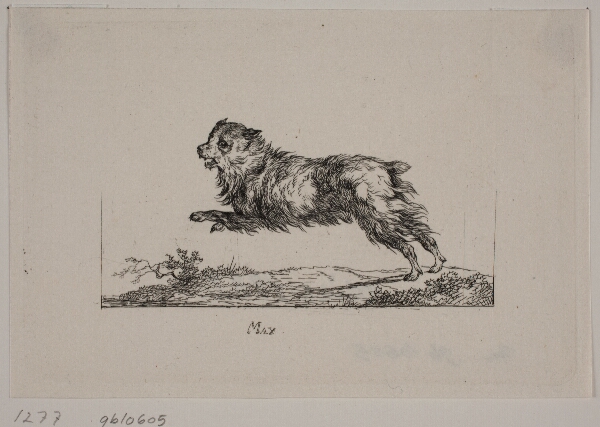 Christian David Gebauer, Max, løbende hund