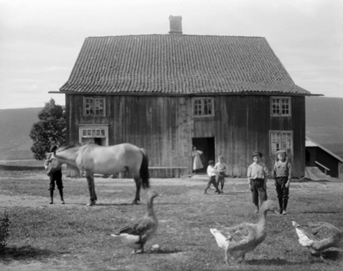 Anno Domkirkeodden, SMESTAD(?), VED LILLEHAMMER, EKSTR. , HOVEDBYGNING, BARN, HUSDYR, GLASSPLATE.