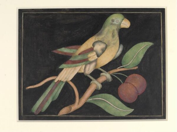 Unknown, Detail of pietra dura work from the Diwan-i Am, Delhi Palace and Fort