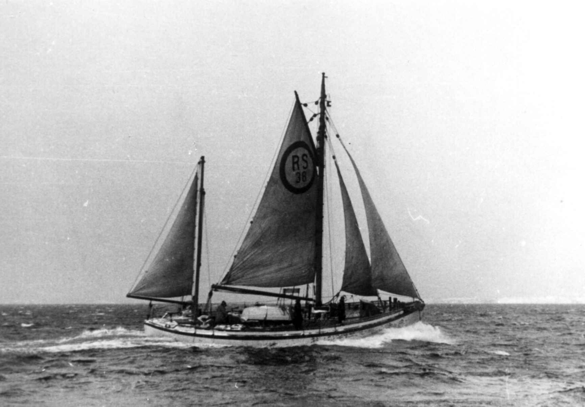 Anders Beer Wilse, Lofotfiske