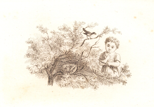 Martinus Rørbye, Regnskaber 1846-48