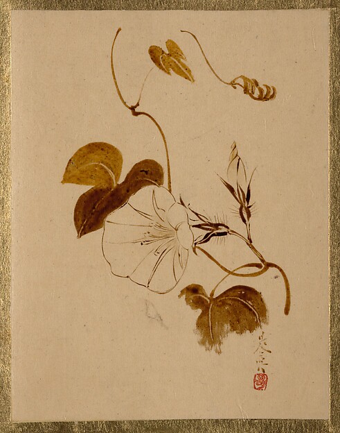 Shibata Zeshin, Morning Glory
