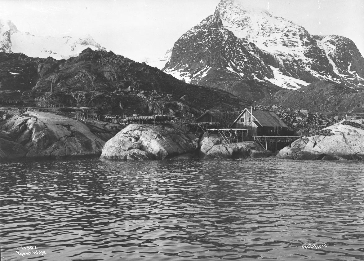 Anders Beer Wilse, Prot: Nusfjord Fiskejeller
