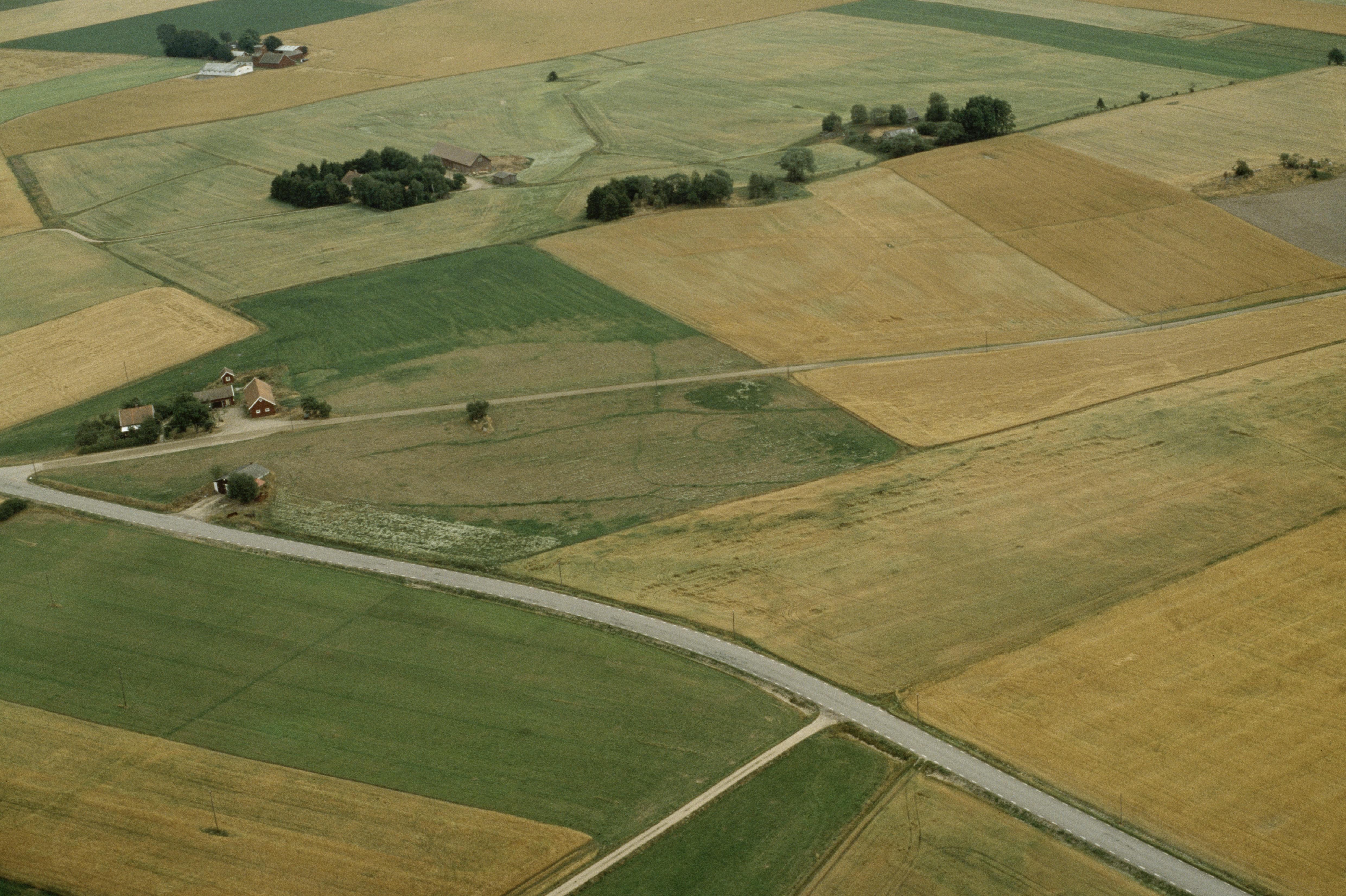Jan Norrman, Larv 32:1