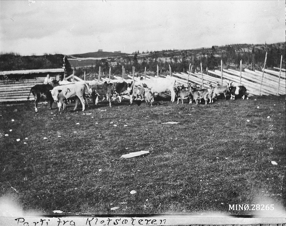 Rugsveen, Johan, Undseth, Geit og ku på setra. "Parti fra Kletsæteren"
