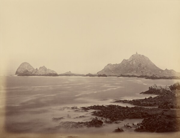 Carleton Watkins, [Seal Point from the West End, Farallons]