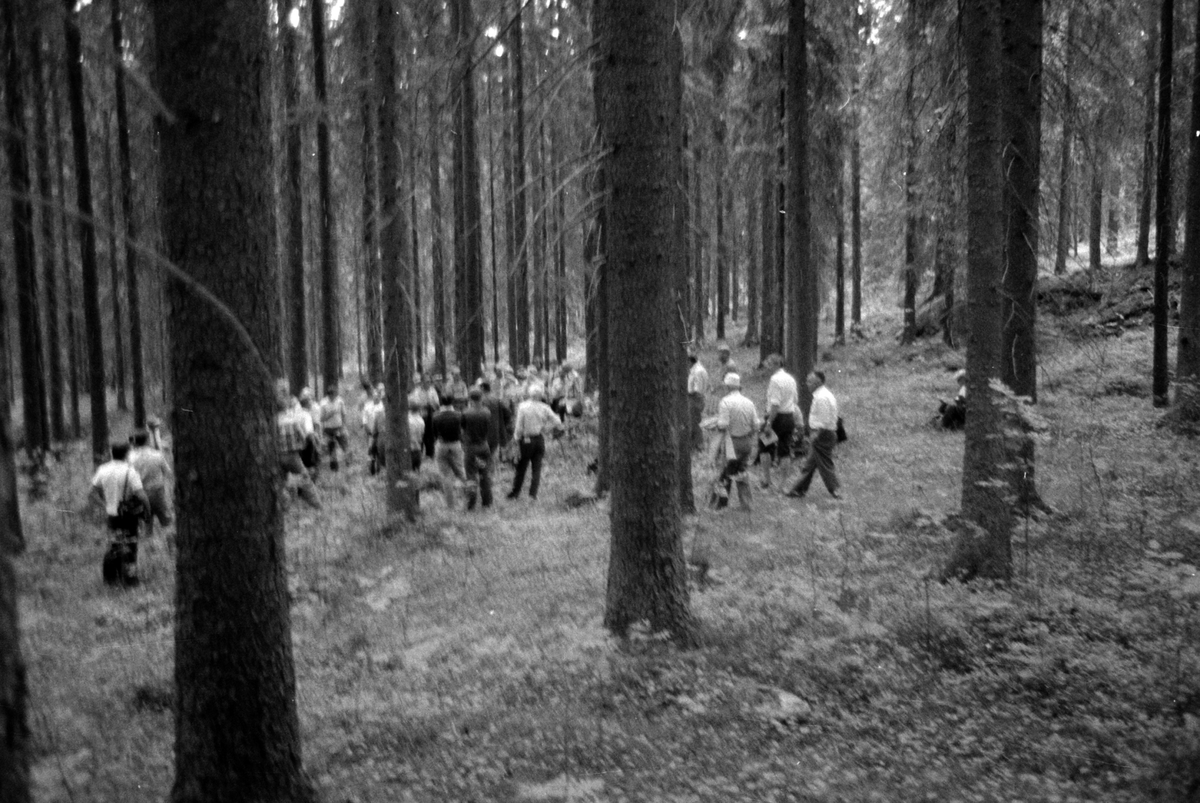 Adolf Skjegstad, ASK-02009