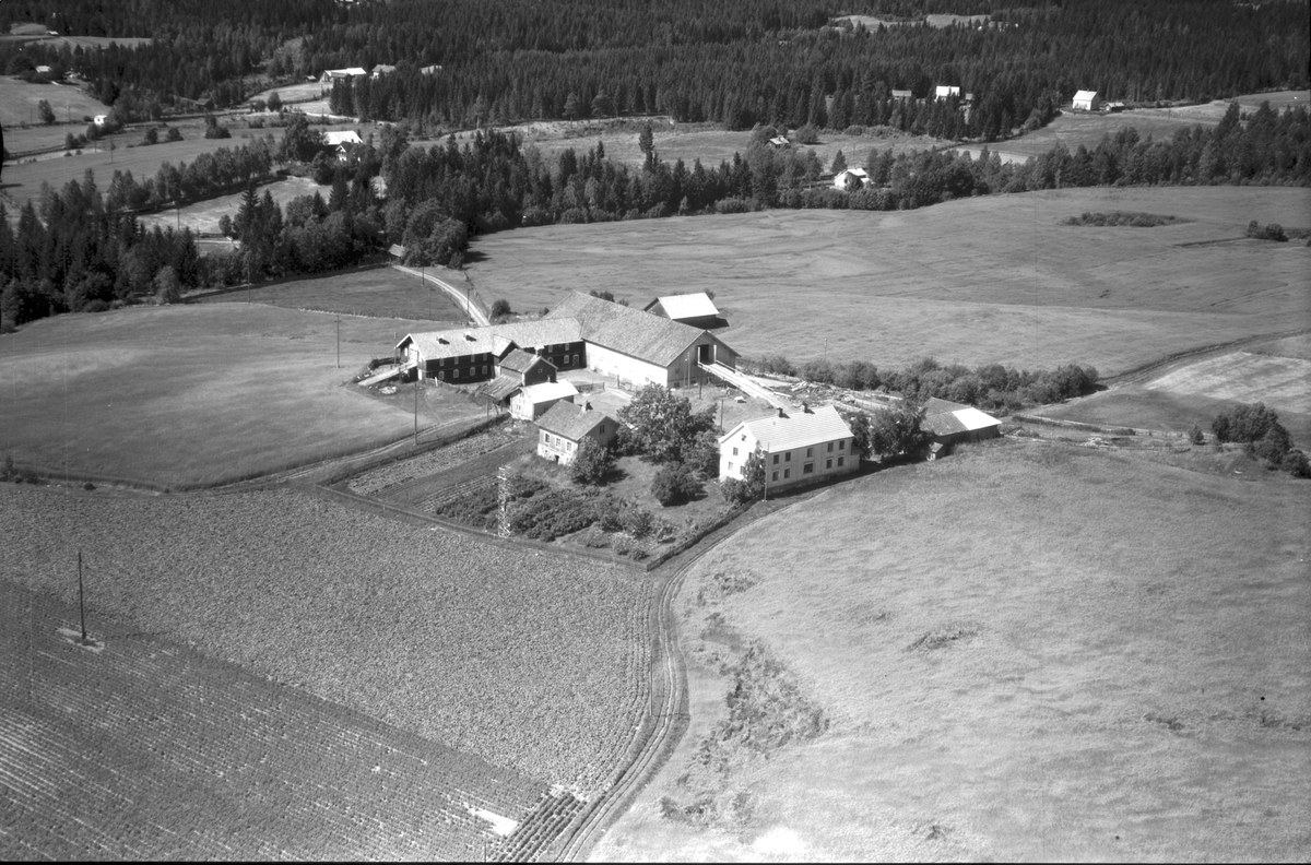 Widerøes Flyveselskap A/S, FLYFOTO ALDERSLYST