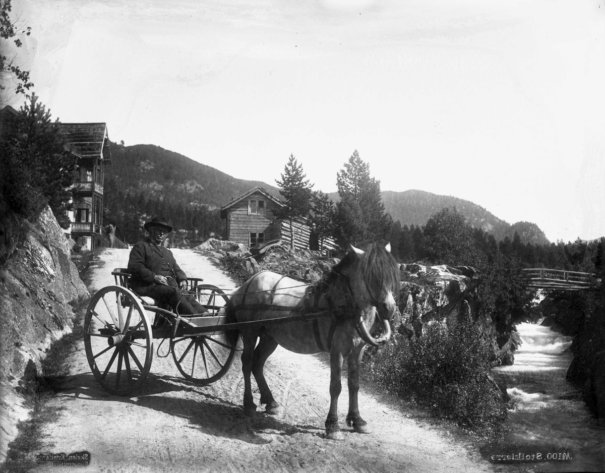 Marthinius Skøien, Stolkierre