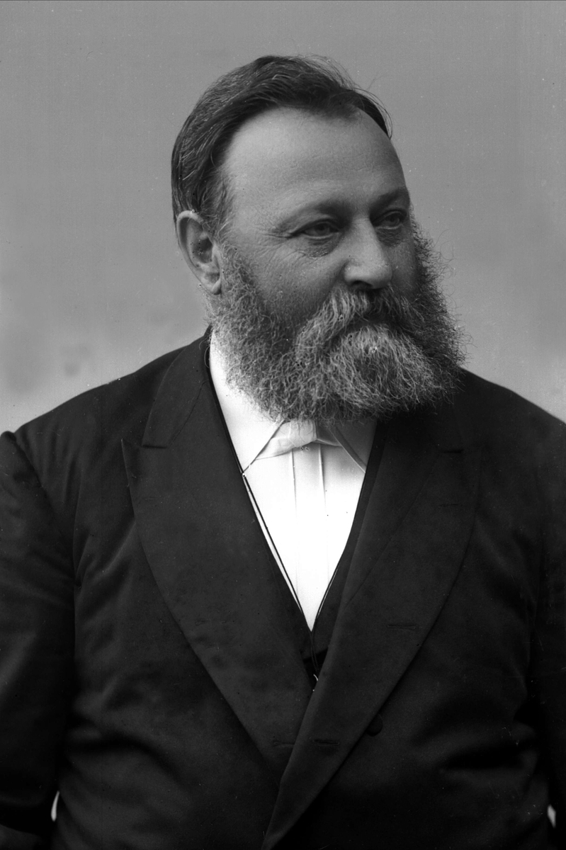 Gustav Borgen, NFB.15386