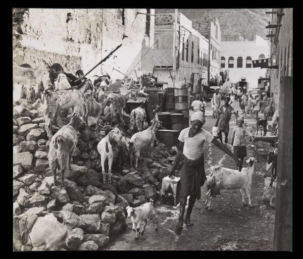 Hardy, Bert, A window onto the Yemen
