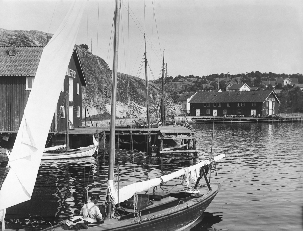 Anders Beer Wilse, Prot: Bryggeparti
