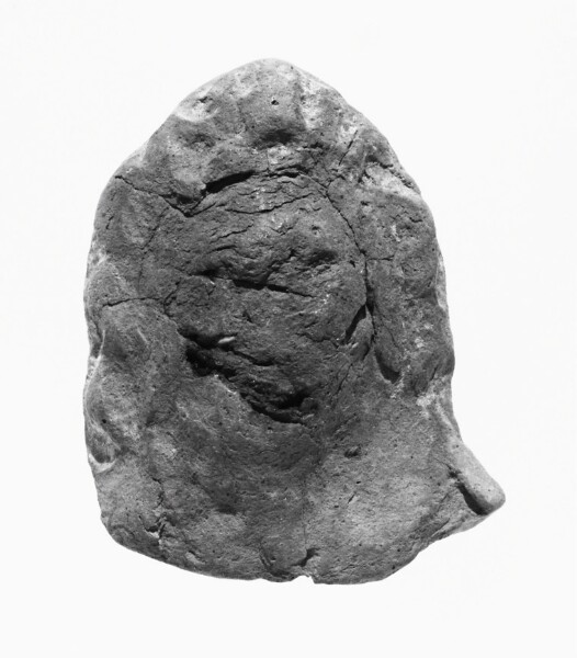 Unknown, Female Head