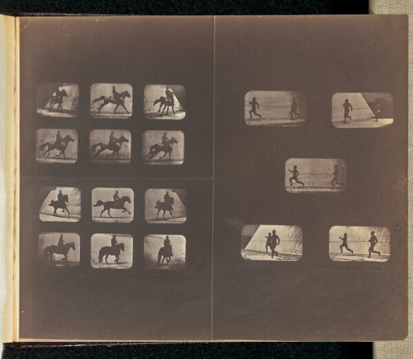 Eadweard J. Muybridge, Running. Walking. Running