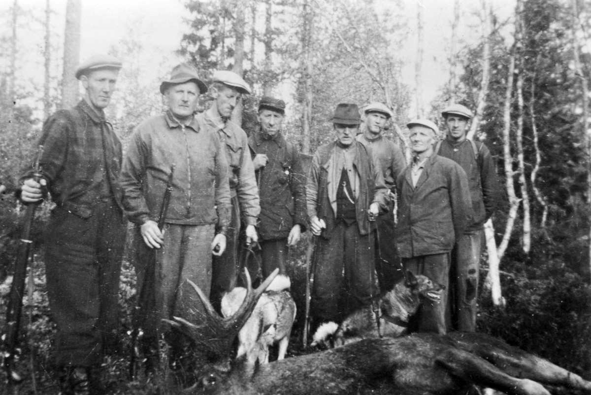Anno Domkirkeodden, Elgjakt, gr: 8 jaktlag, etter krigen, fra v: Jørgen Gaukerud, O. Gundersen, Engen, Odvar Hagen m/flere, Løten almenning. Forts: Oskar Støre, Knut Skogen, Mathias Storsveen, Anstein Gaukerud, Martin Finstad.