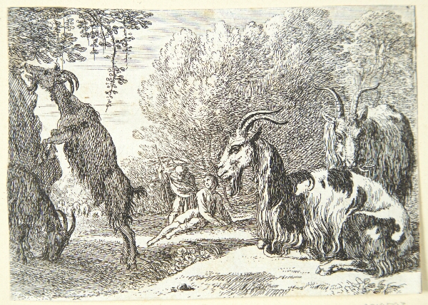 Herman van Swanevelt, Geder
