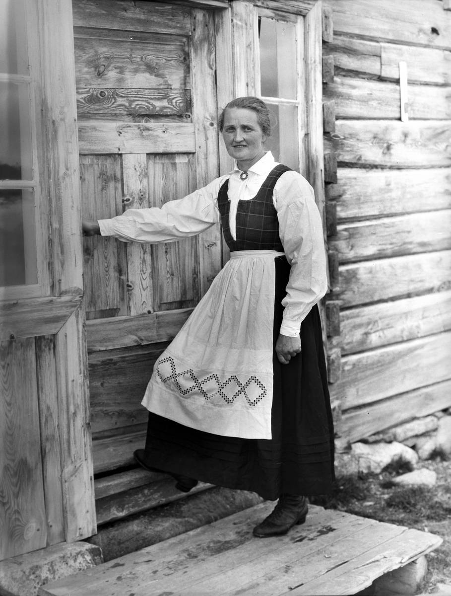 Anders Beer Wilse, Prot: Jotunheimen - Ola Vaale med familie
