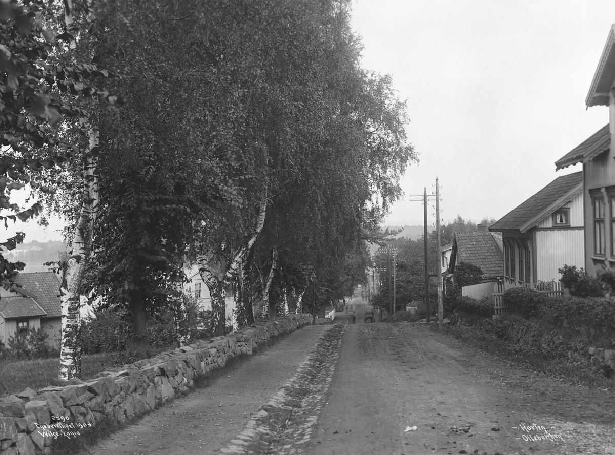 Anders Beer Wilse, Prot: Horten - Ollebakken 4. Oct. 1903