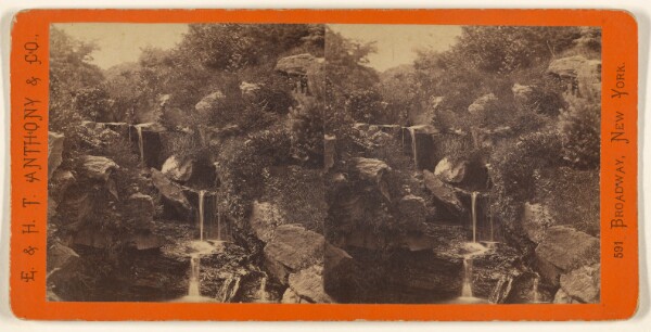 Edward and Henry T. Anthony & Co., Central Park, New York. The Cascade.