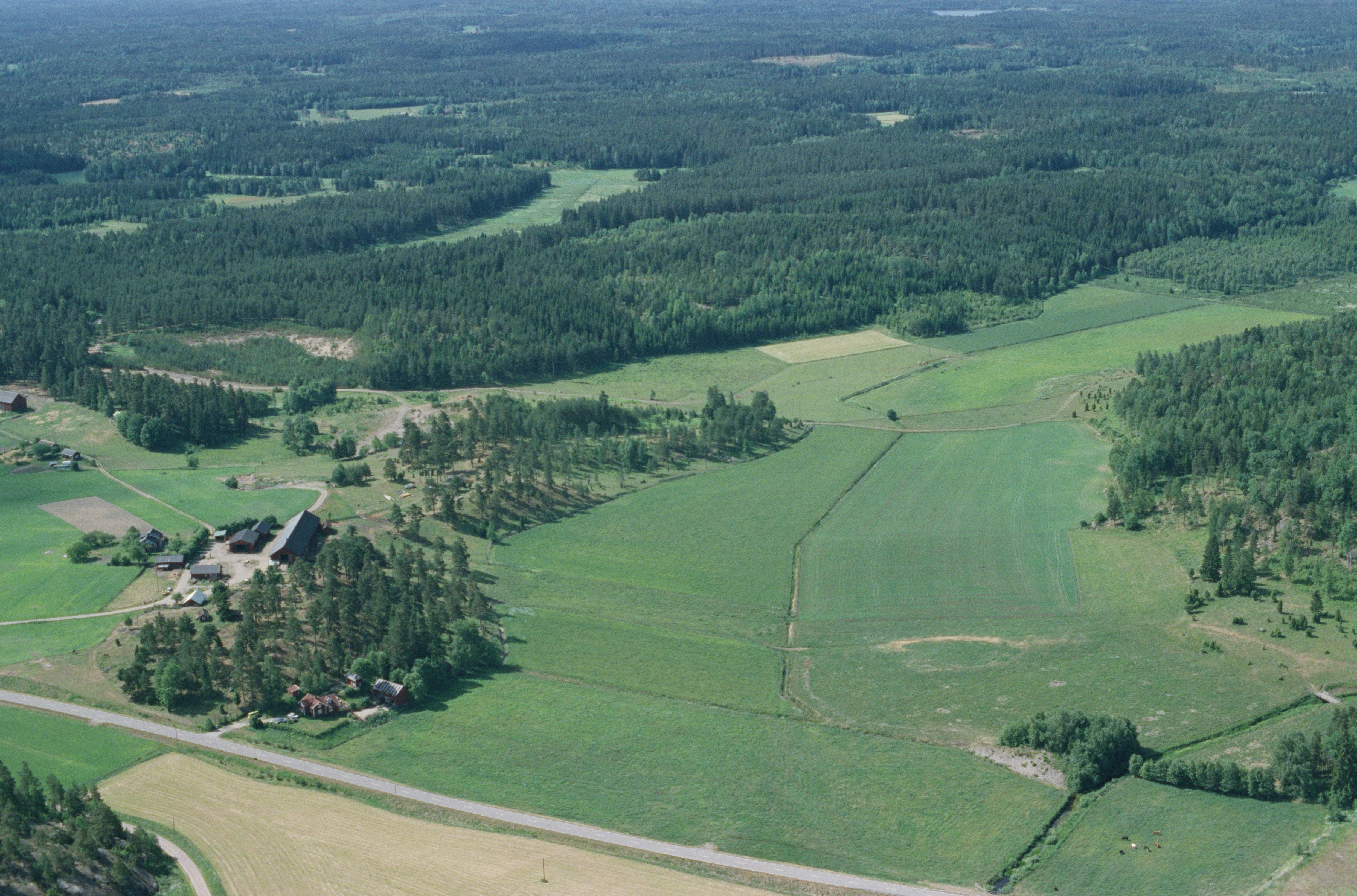 Jan Norrman, Riala 116:1
