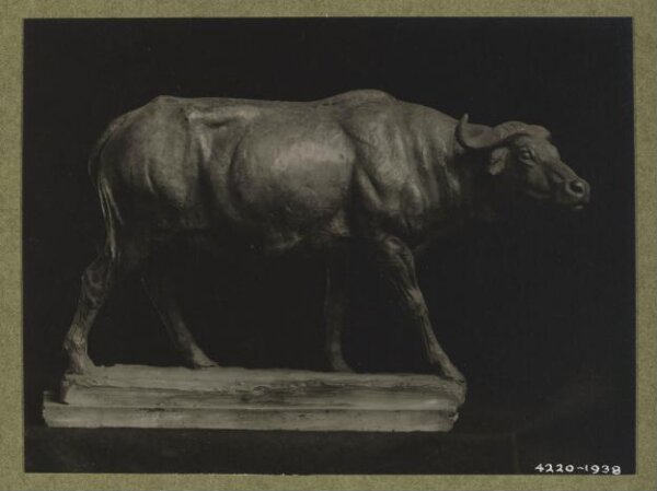 unknown, Photograph