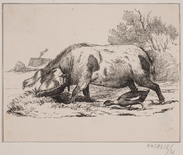 Adolph Kittendorff, Svinet og anden