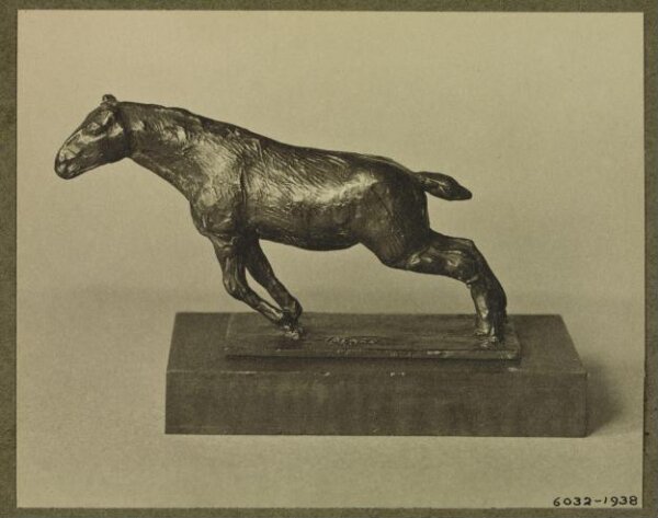 unknown, Photograph