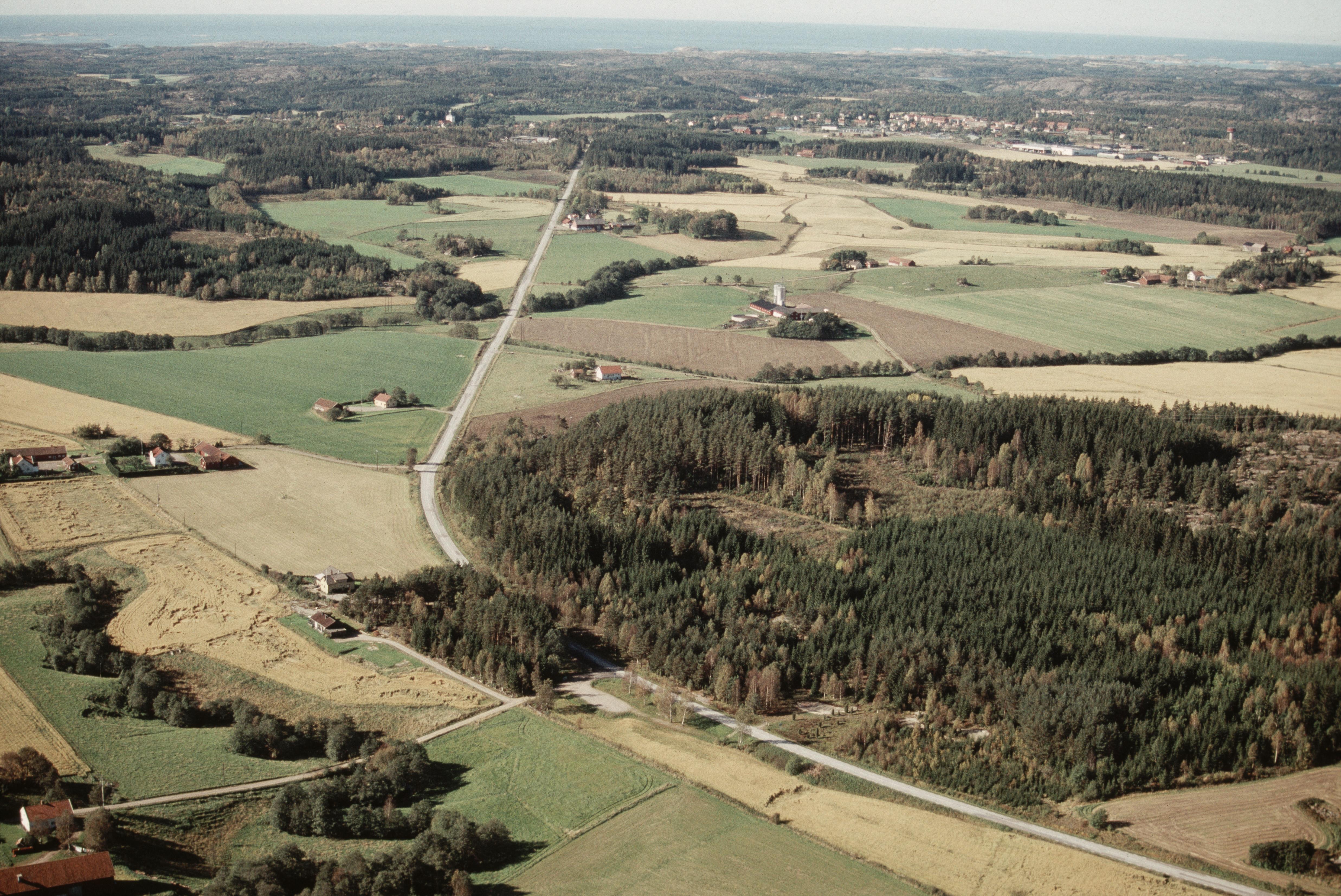 Jan Norrman, Tanum 149:1