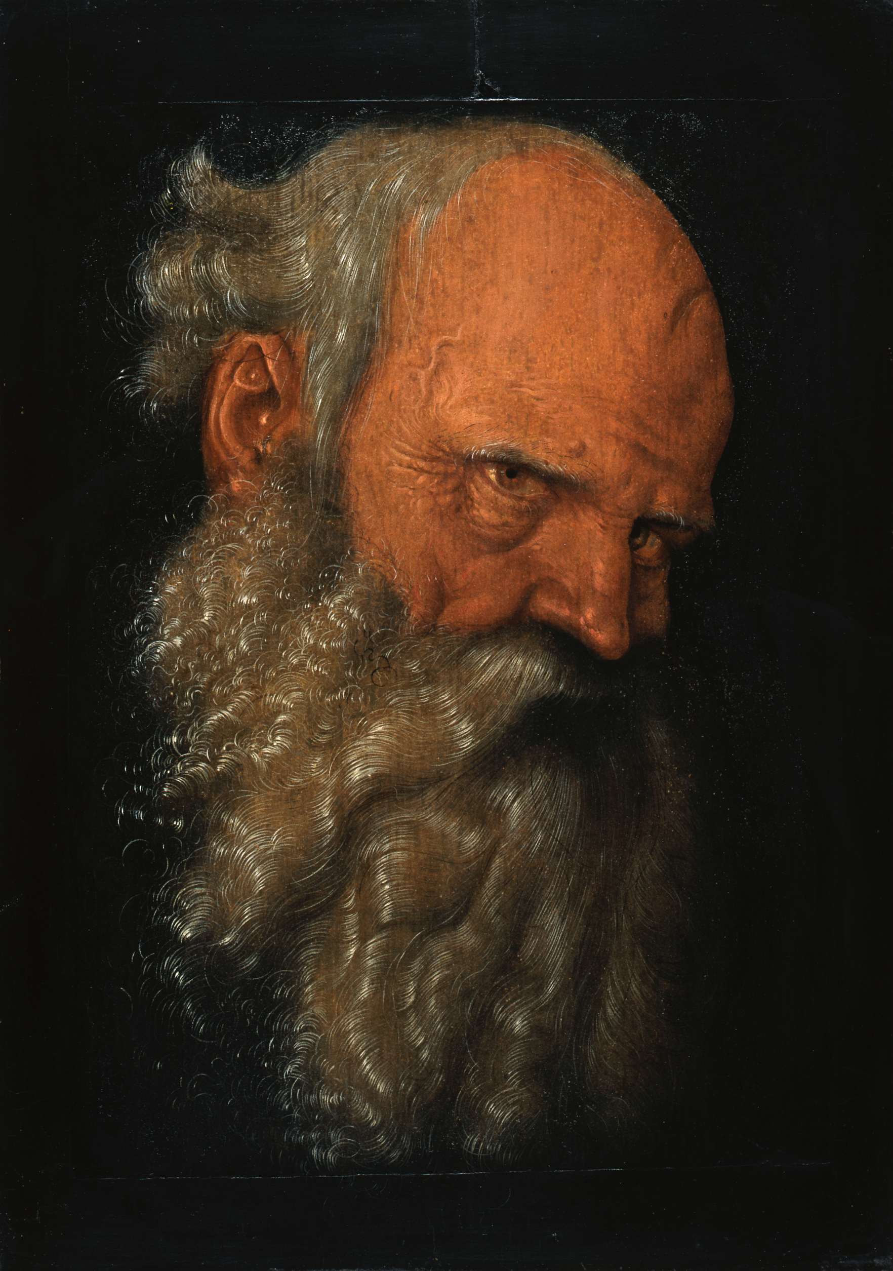 Hans Baldung Grien, Head of a Bearded Old Man