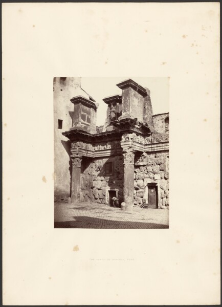 Giorgio Sommer, The Temple of Minerva, Rome