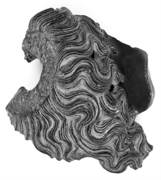 Unknown, Fragmentary Head of Serapis