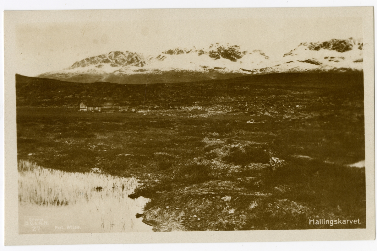 Anders Beer Wilse, Hallingskarvet