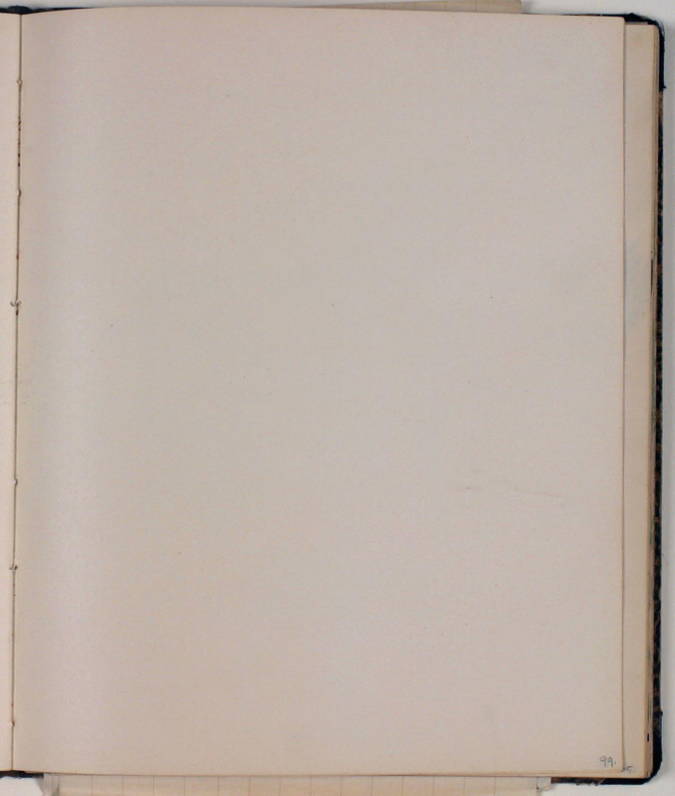 Niels Larsen Stevns, Blank