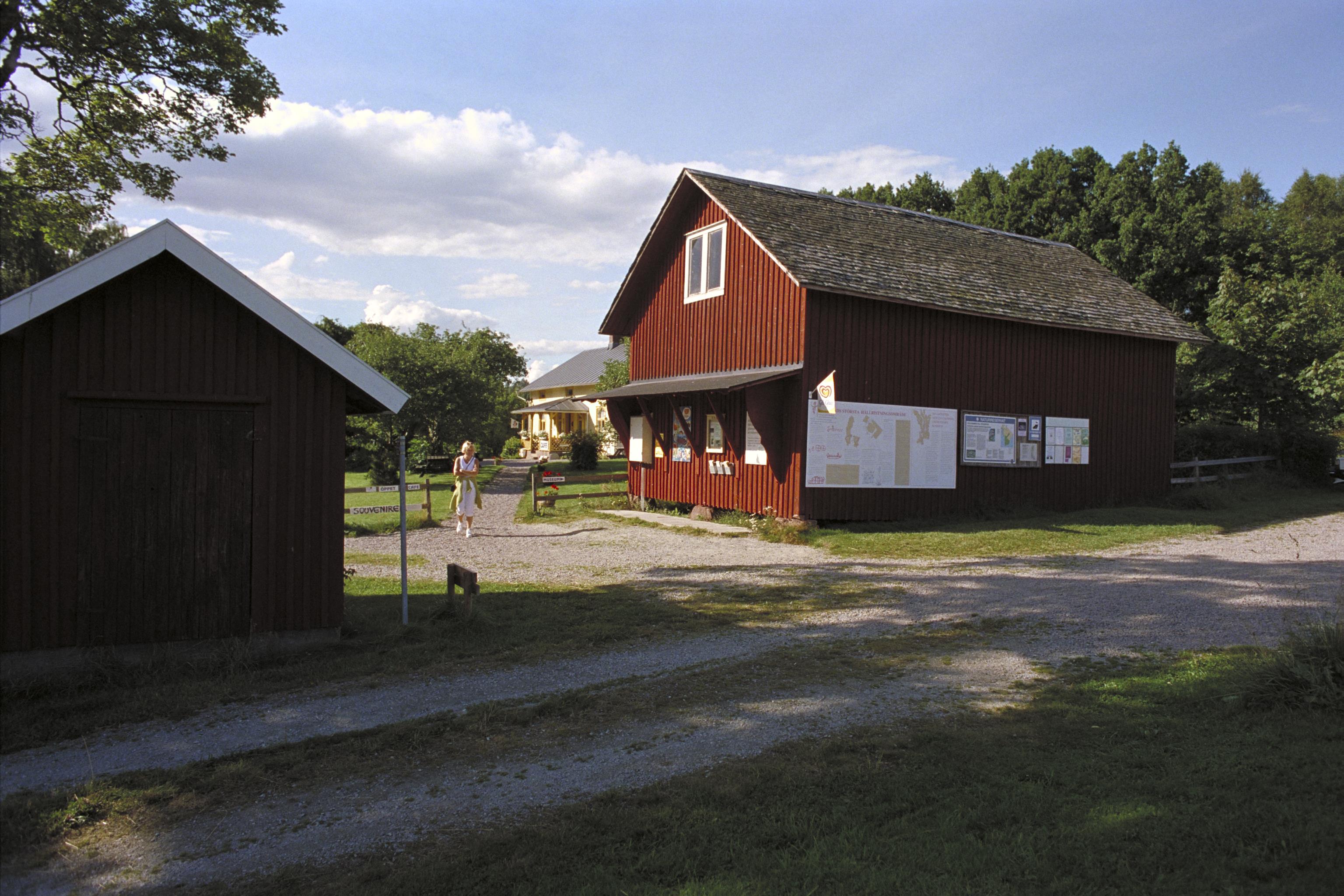 Bengt A Lundberg, Tisselskog