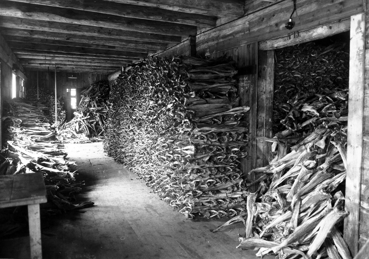 Anders Beer Wilse, prot: Bergen Fisken Stables