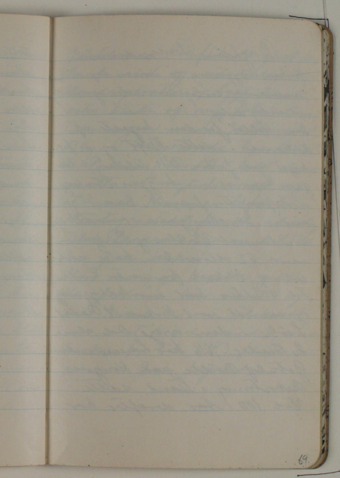 Niels Larsen Stevns, Blank