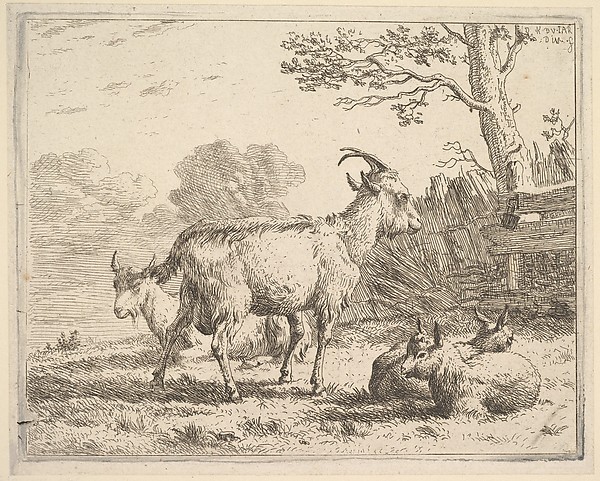 Karel Dujardin, Four goats; at the back a nanny goat lies on the ground, in the middle a billy goat stands, in the front two kids lie on the ground, a fence and tree beyond