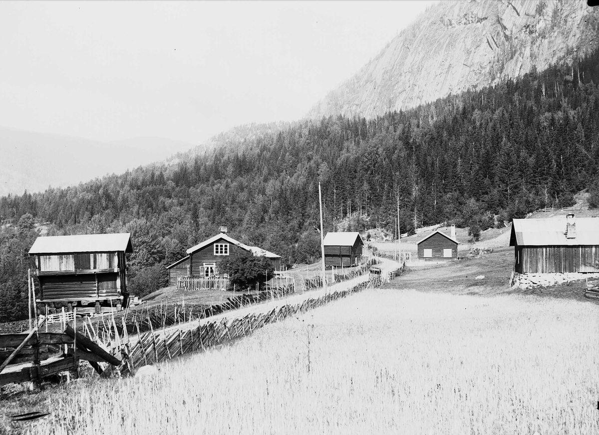 Axel Quinsgaard Wiborg, Kvisle, Numedal. Rollag, Buskerud, 1906. Gård med vei mellom husene og skigarder langs veien.