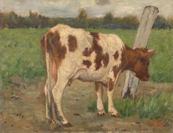 Geo Poggenbeek, Cow
