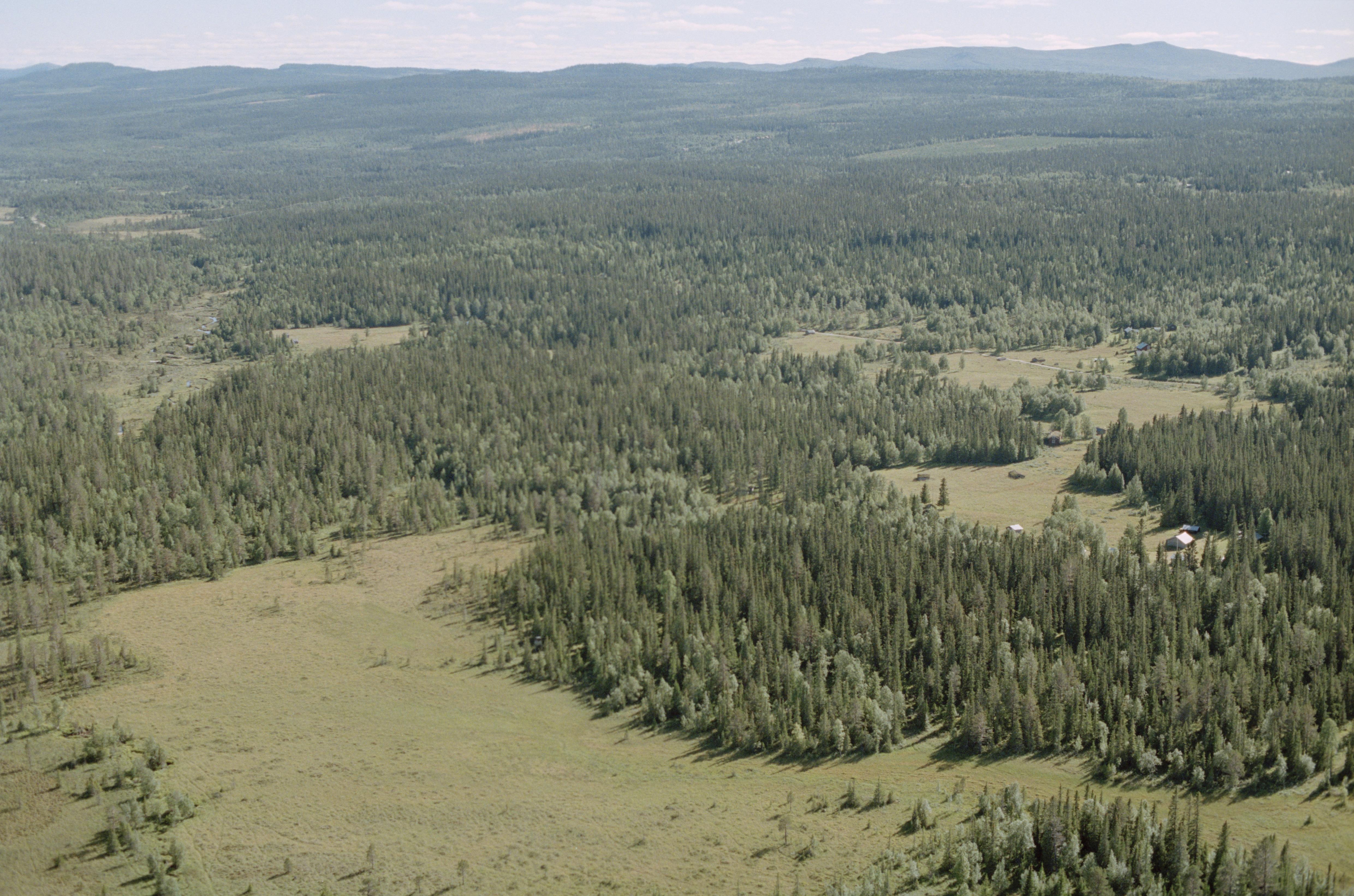 Jan Norrman, Tännäs 896