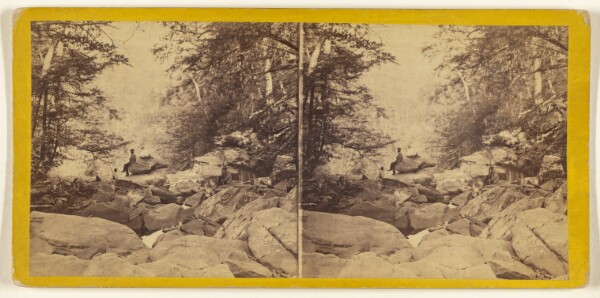 Edward and Henry T. Anthony & Co., The Glens of the Catskills. View from the top of the five Cascades, looking down Haines Gorge.