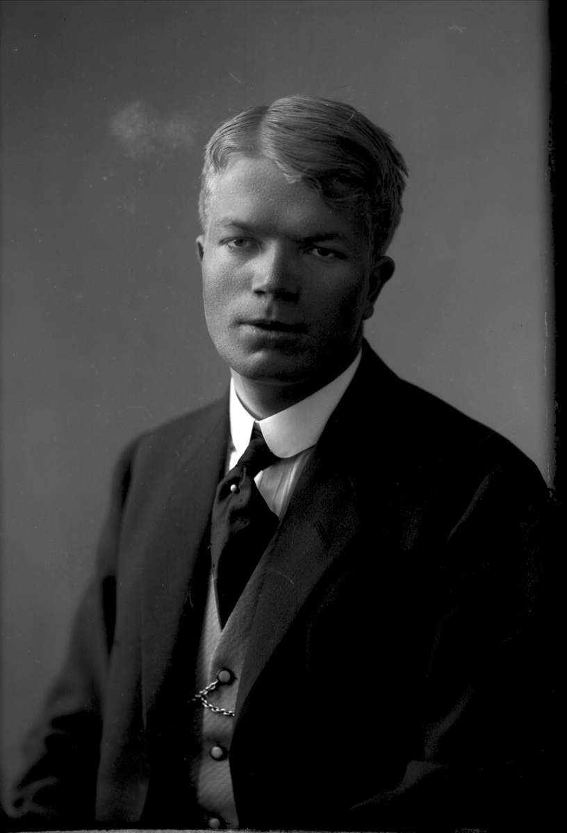 Gustav Borgen, Portrett av Harald Severein Diderik Cappelen, fotografert i 1915 antakelig.