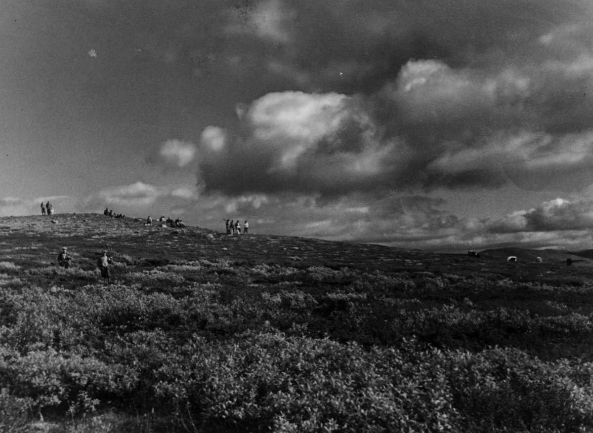 Anders Beer Wilse, Gordon Setter Klubben på jakt, Dovre 1935. Mennesker og dyr på fjellvidda.