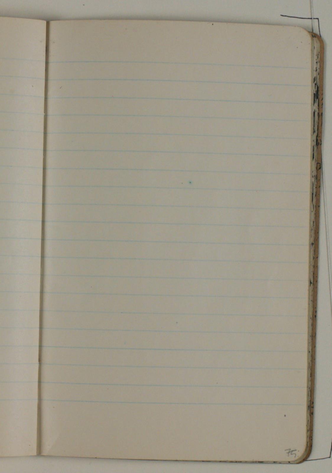 Niels Larsen Stevns, Blank