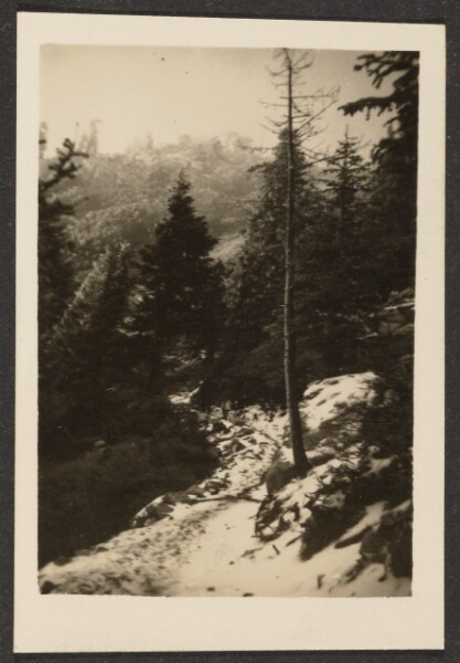 Louis Fleckenstein, [Landscape]