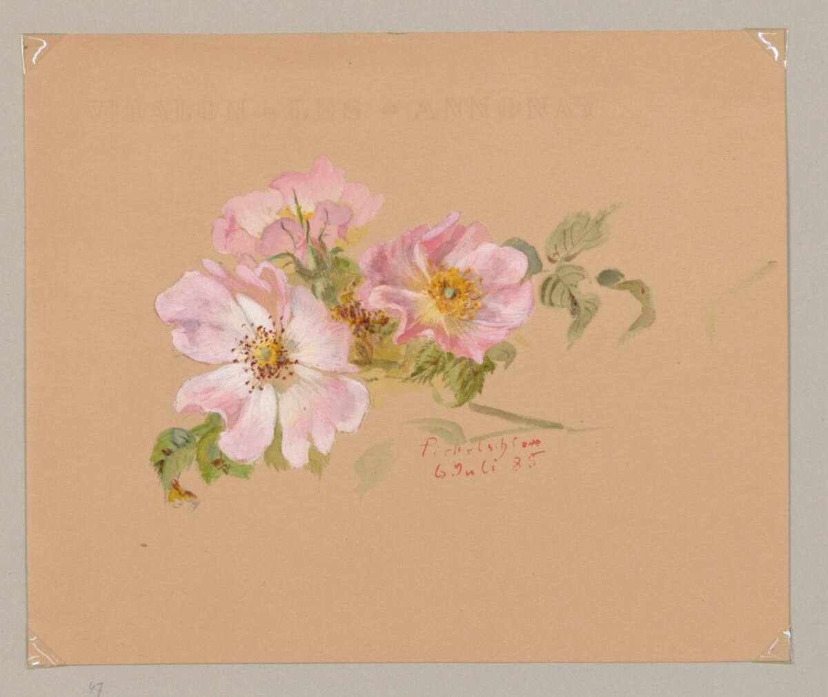 MarieLippert-Hoerner, Drei wilde Rosen