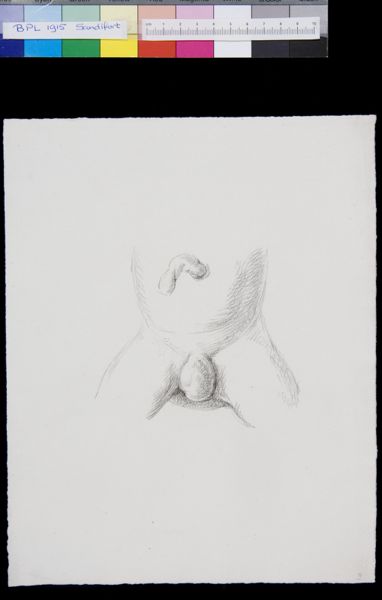 Gerard Sandifort, Abdomen, genitals