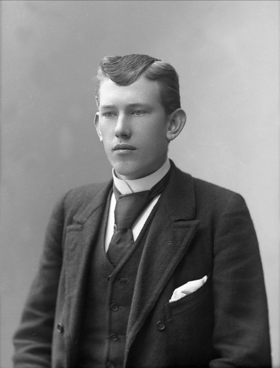 Gustav Borgen, NFB.29026